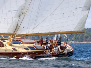 {{brizy_dc_image_alt entityId=