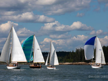 Photo by Alison Langley at: https://www.langleyphoto.com